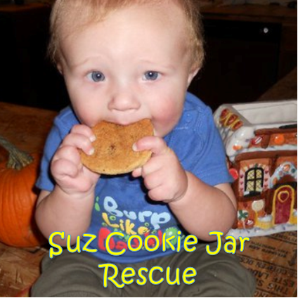 Suz Cookie Jar Rescue | Summerset Festival 2021
