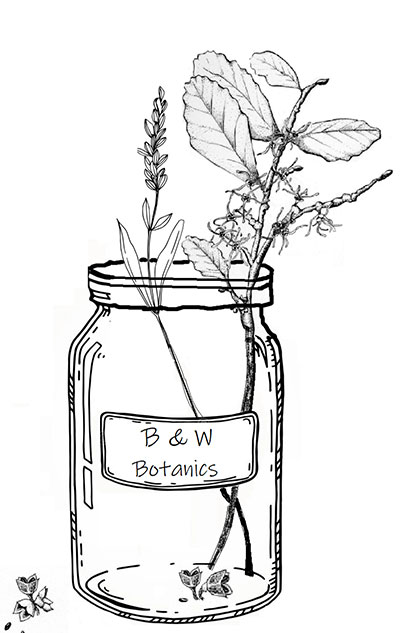 Black and White Botanics | Summerset Festival 2023