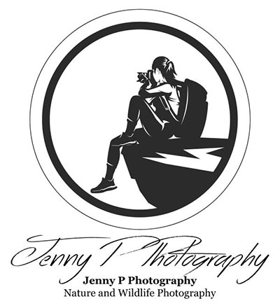 Jenny P Photography | Summerset Festival 2023